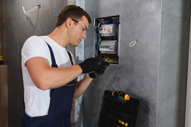 Best Electric Panel Repair  in Aust, IN